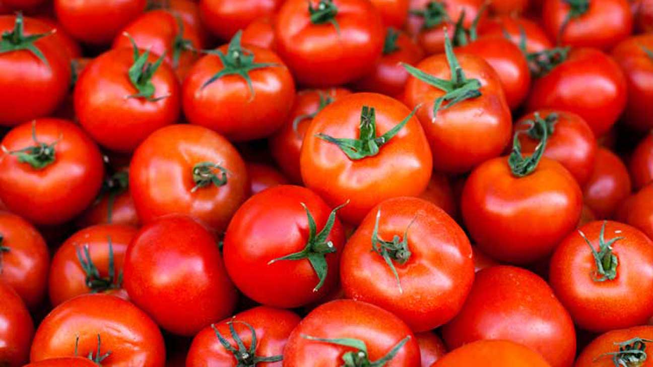 tomatoes price hike